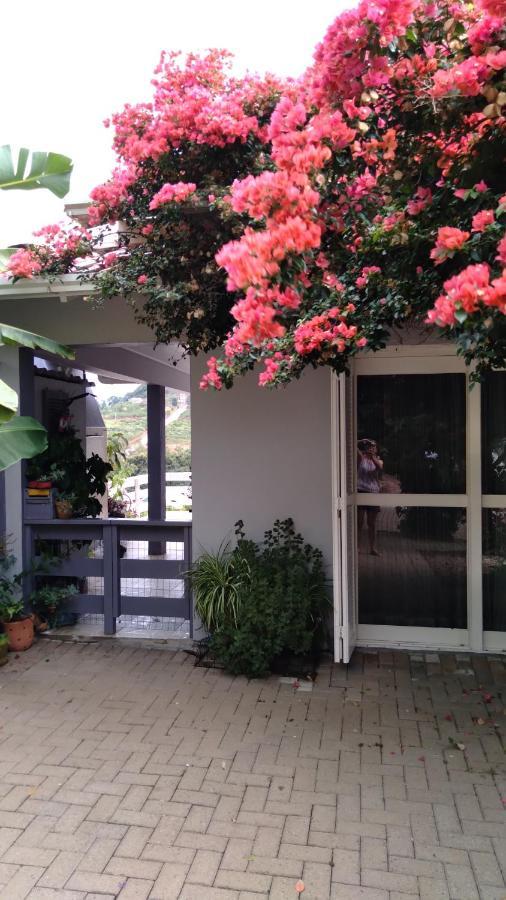 Villa Casa Deni à Nova Petropolis Extérieur photo