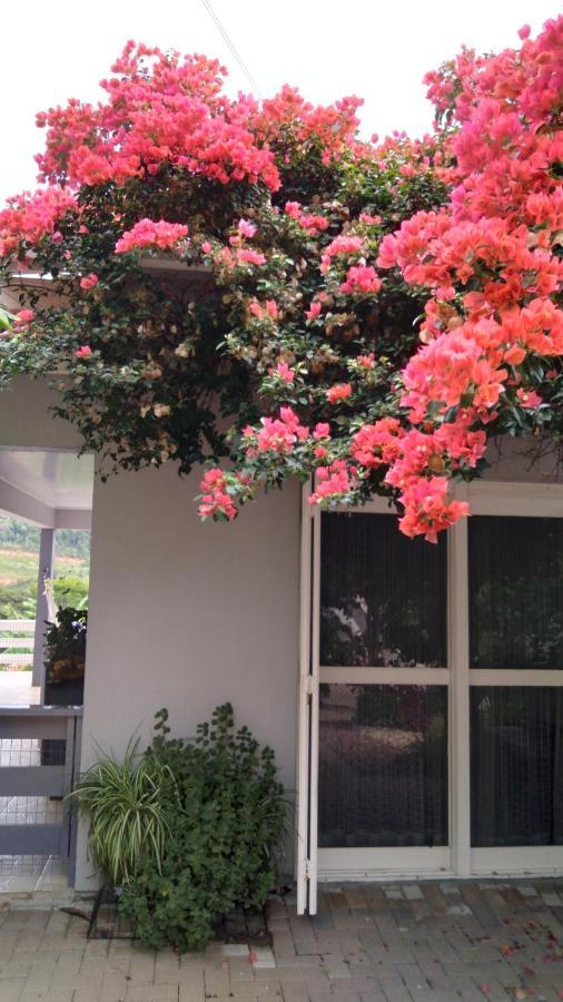 Villa Casa Deni à Nova Petropolis Extérieur photo