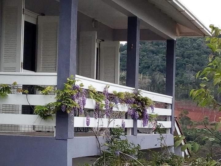 Villa Casa Deni à Nova Petropolis Extérieur photo
